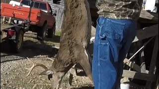 How to Clean and Process a Deer! [[How to Age Your Deer Meat]]