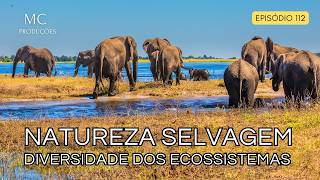 NATUREZA SELVAGEM | DIVERSIDADE DOS ECOSSISTEMAS