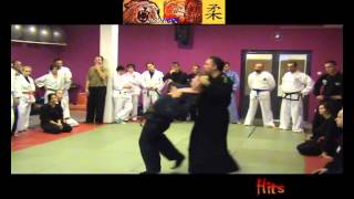 Aikido Techniques 35