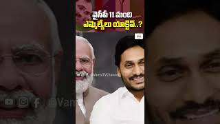 వైసీపీ 11 మంది ఎమ్మెల్యేలు యాక్టివ్ | YSRCP 11 MLAs Not Active | YS Jagan |@VamsiTVChannel