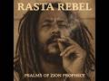 Roots Reggae (1977) [Lost Album] RASTA REBEL  - PSALMS OF ZION PROPHECY