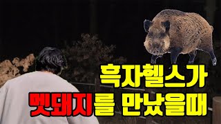 산에서 멧돼지 만난 흑자헬스의 패기(알파메일)