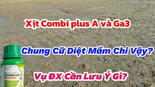 Xịt Combi plus A và GA3 chung diệt mầm, lưu ý canh tác ĐT8 vụ ĐX