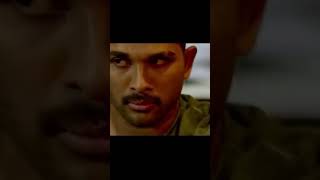 Royal Winner - Allu Arjun best Action Movie Fight scene of Hindi Movie | South Indian Movie