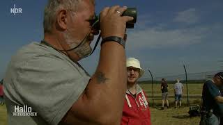 Plane Spotter / Flugzeugbegeisterte bei Air Defender '23 am Fliegerhorst Wunstorf