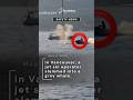 Jet ski rider slams into grey whale - May 5, 2026