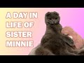 A Day in Life of Sister Minnie