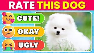 Rate the TOP 40 Dog Breeds 🐶🏆 | Dog Tier List