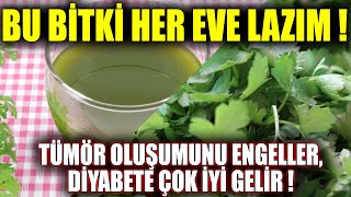 Tümöre ve Diyabete İyi Gelen Bitki Her Evde Olmalı !