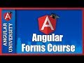 💥 Angular Forms Course Sample -  Covers Angular Final Release