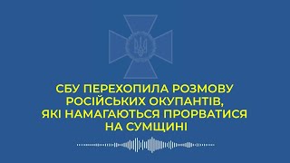 СБУ перехопила розмову російських окупантів, які намагаються прорватися на Сумщині