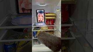 How do I protect my ice cream? #funny #humor #comedy #搞笑 #有趣 #shorts #short