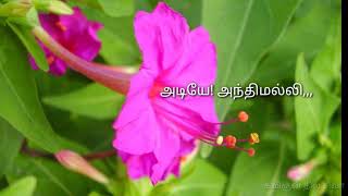 அடியே! அந்திமல்லி| காதல் கவிதைகள்|கவிஞன் தில் சிவா|Dhil siva|