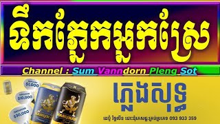 ទឹកភ្នែកអ្នកស្រែ ភ្លេងសុទ្ធ ប៊ុនស័ក្ក tik pnek neak Srae cambodia karaoke cover new version PSR s770