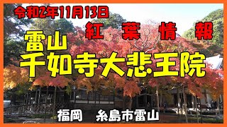 福岡糸島市　雷山千如寺大悲王院　令和二年１１月１１日　紅葉情報