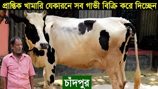 চাঁদপুরের দুলাল কাকা যেকারনে খামারের সব গাভী বিক্রি করে দিবেন । গাভীর দাম জানুন cow price