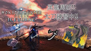 【MHW:IB】【PC】太刀練手!!黑龍練習中DAY1【Sashimi】