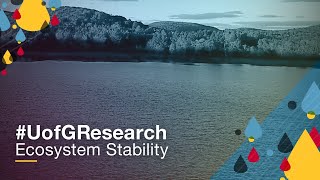 U of G Research on Ecosystem Stability