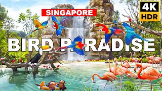 Newly Opened Singapore World Class Bird Paradise Full Tour 🇸🇬🦜🦩🐥