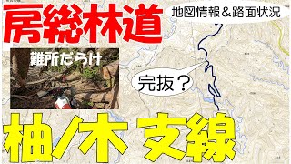 DTチャンネルにはどうしても完抜したい林道があります。房総柚ノ木線の支線です。今まで2回挑戦しトラジ岩に跳ね返されてきました。3度目の挑戦です。 #柚ノ木線支線 #トラジ岩 #完抜