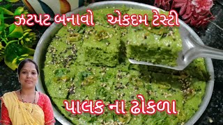 પાલક ના ઢોકળા || palak na dhokla || ઝટપટ બનાવો પાલક ના ઢોકળા ||