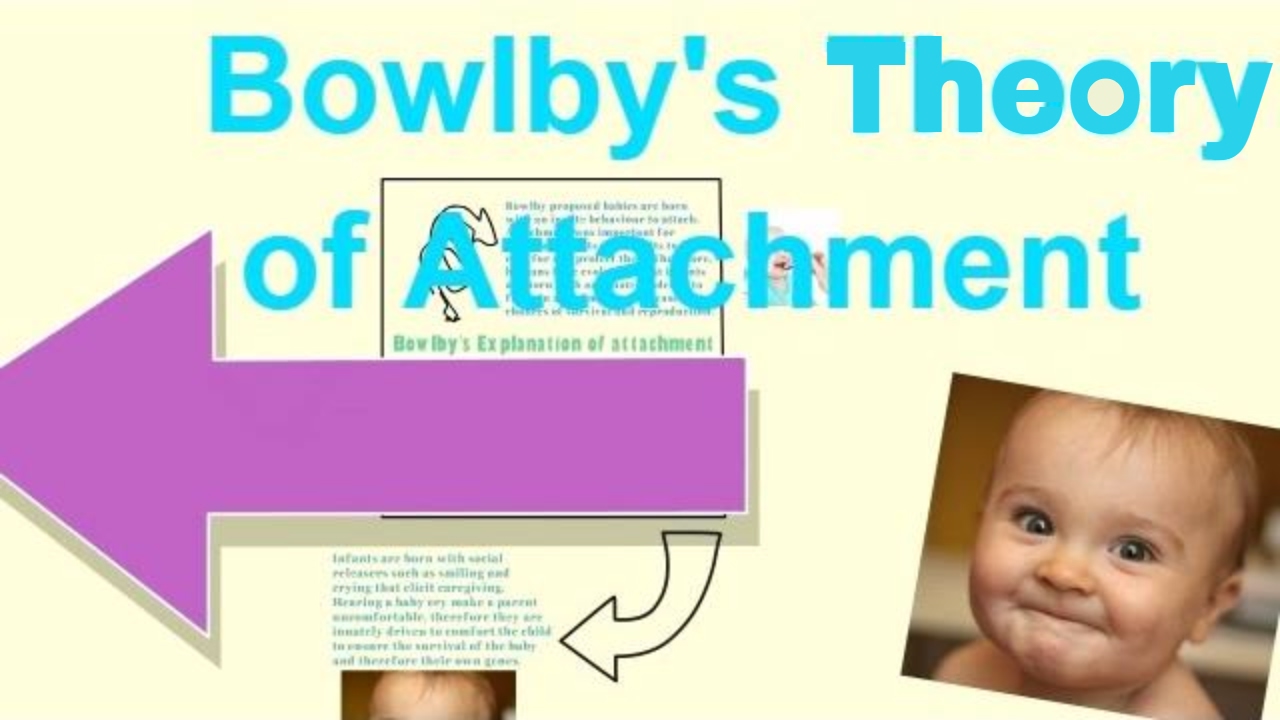 Attachment Theory (Bowlby) Learning Theories, 47% OFF