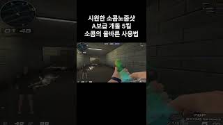 시원한 소콤 노줌샷 A보급 개돌 5킬 소콤의 올바른 사용법 #웅일tube #소콤 #스나 #개돌 #shorts