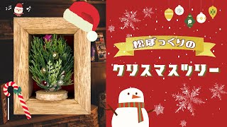 【Xmas】松ぼっくりのクリスマスツリー【handmade】