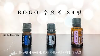 [보고 프로모션] 도테라 🇺🇸🇨🇦 보고 프로모션 3월 24일 수요일, 스킨케어 마무리 블루탠시 구매시 진정, 로만 카모마일 + 라벤더 무료!  #스킨케어 #수면 #에센셜오일