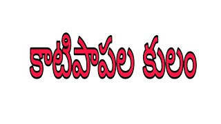 కాటిపాపల కులం గురించి/సేకరణ AP MBC సంచార జాతర సంఘం #reels #news #shortvideo #facts #telugu