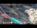 【登山】前穂高岳・北尾根ルート【秋の紅葉】mt. maehodaka north ridge