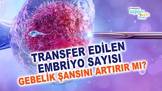 Transfer Edilen Embriyo Sayısı Gebelik Şansını Artırır mı?