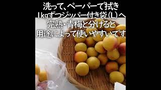 【冷凍梅の作り方】梅酒・梅シロップ・梅干しも時短でできる