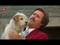 will ferrell jumps into the bear pit and regrets it instantly anchorman clip