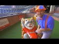 Blippi Visita un Estadio de Beisbol  Vídeos Educativos para Niños  Moonbug Kids en Español