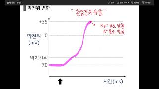 [생명과학1] 3.1 흥분의 전도와 전달(흥분의 전도 개념정리)