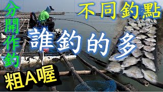 跟湖主分開作釣，不同釣點，到底誰是最後的勝利者? #釣魚#黑鯛#黑格#浮標#笩釣#fishing