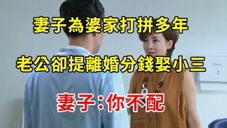 妻子為婆家打拼多年，生活富裕老公提離婚娶小三，妻子一舉動叫他成了大笑話 | 翠花的秘密