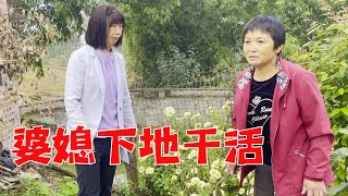 家里的豆子丰收了，大姐和婆婆有说有笑一起干活，干完回家吃回锅肉【乡村大姐】