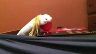 Sock puppet theater: Conflict Resolution
