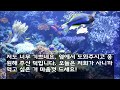 【반전 신청사연】엄마 회사 승계를 받은 남편이 성공하자 시모가 새 며느리를 들여오더라. 시모 뜻대로 해줬더니 시댁이 통째로 무너졌다.