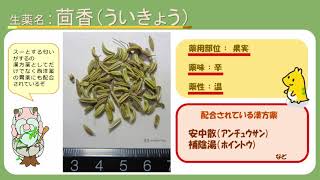 はじめての漢方e-learning 「薬用植物シリーズ」カレー編