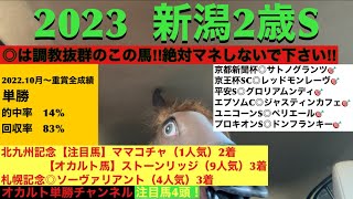 【2023.新潟2歳S】【最終結論】1着🥇予想