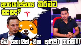 ආයෝජනය කිරීමට සුදුසුද???  මේ කොයින් එක අනිවා ගන්න!!! | elon musk නිසා ගොඩ !!! | වෙළෙඳපොළ විශ්ලේෂණය