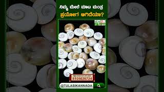 If You Suffering From Bad Dreams | ನಿಮ್ಗೆ ಕೆಟ್ಟ ಕನಸು ಬೀಳ್ತಿದೆಯಾ? | Tulasi Shorts  #tulasikannada