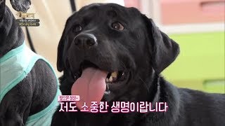 [펫다이어리/세나개] 아이들에게 반려동물교육이 필요한 이유