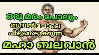 ബാഹുബലിയെകാൾ  വലിയ ബലവാൻ  | churulazhiyatha rahasyangal | kullapurath bheeman