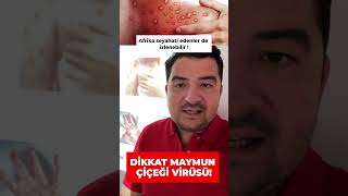 Dikkat Maymun Çiçeği Virüsü