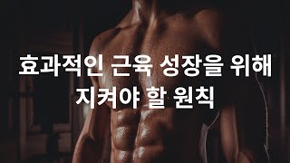 근육은 어떻게 더 크고 강해지는가