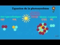 photosynthèse